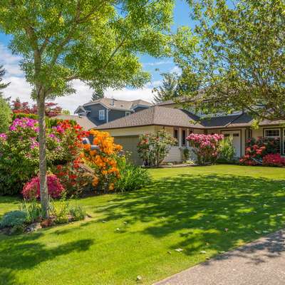L.M.P Landscape Maintenance Products LLC