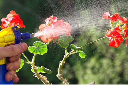 Fertilizing